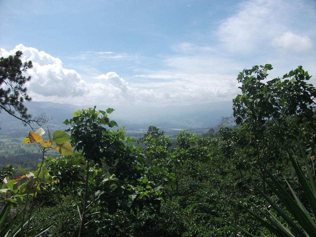 Green Mountain And Lodge ตูร์เรียลบา ภายนอก รูปภาพ
