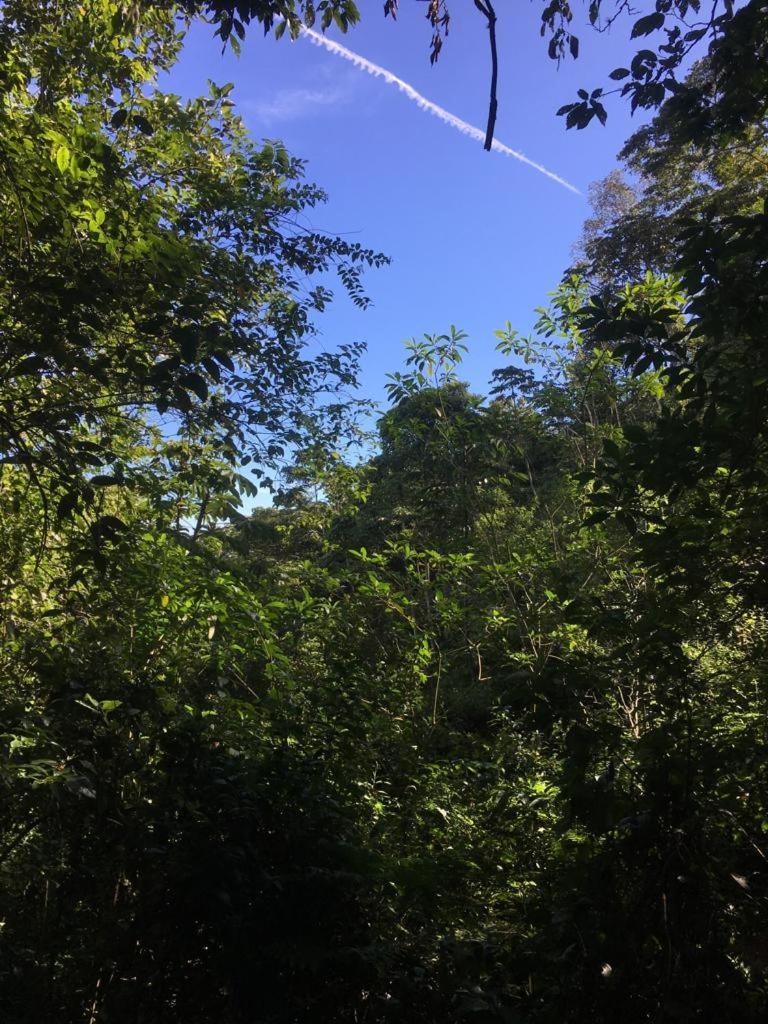 Green Mountain And Lodge ตูร์เรียลบา ภายนอก รูปภาพ