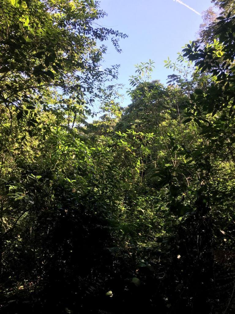 Green Mountain And Lodge ตูร์เรียลบา ภายนอก รูปภาพ